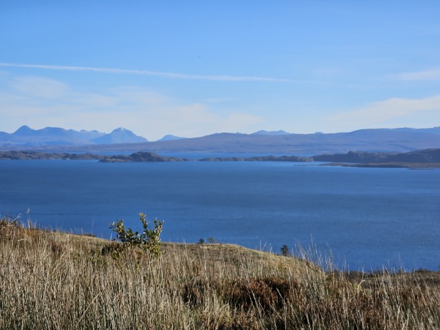 20231023_111733.jpg